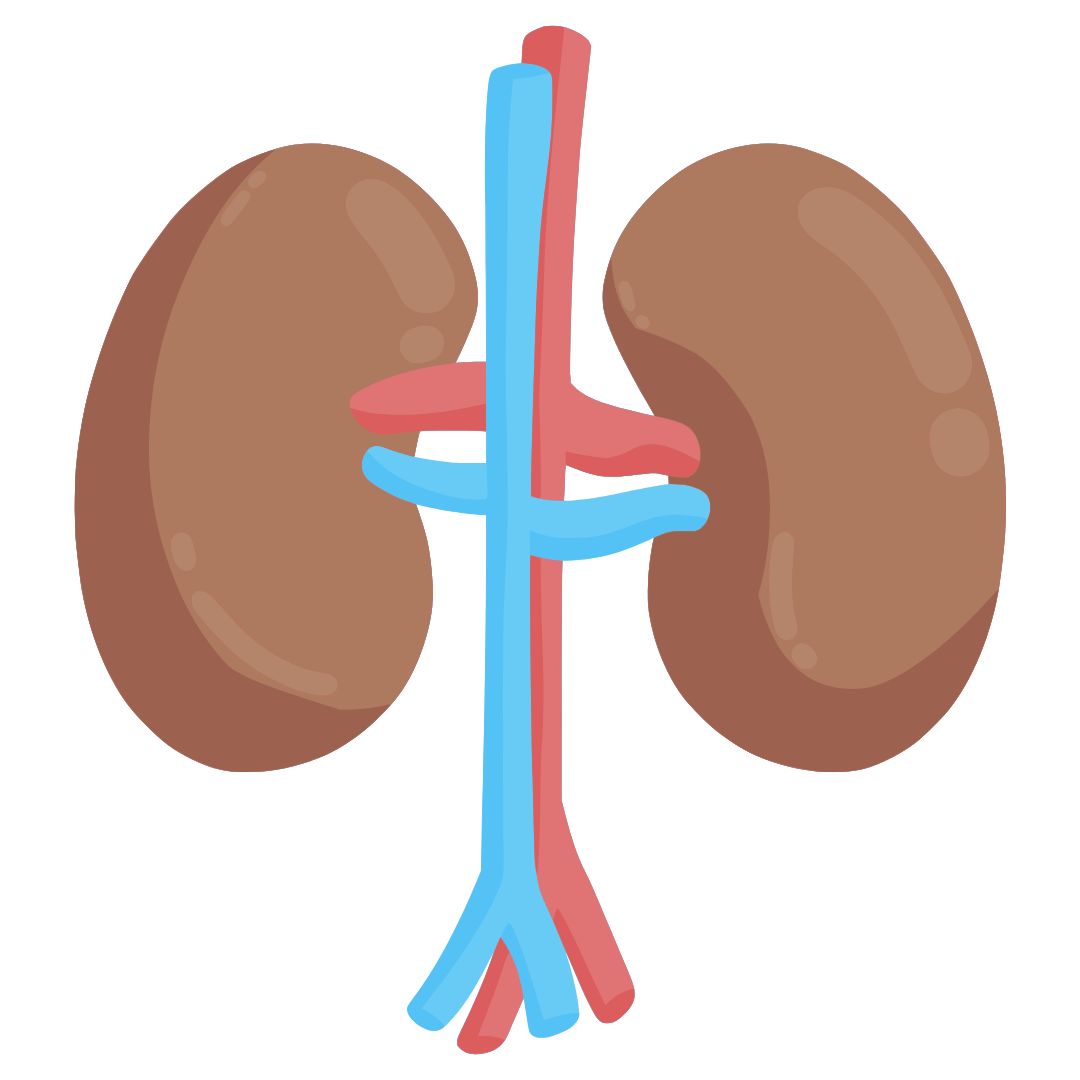 Renal Disease Monterey Bay Vascular