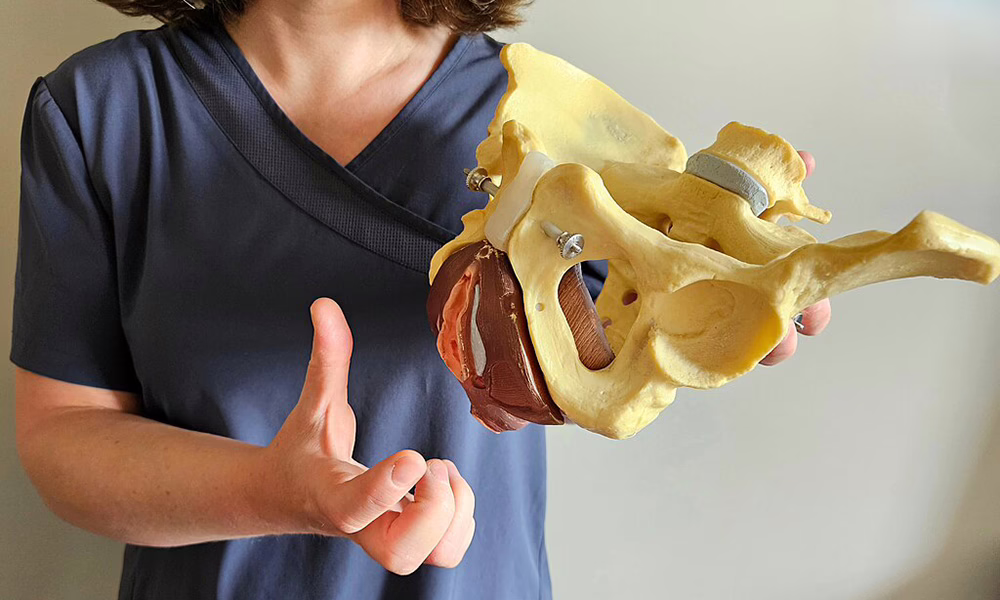Physiotherapist explaining the pelvic floor, holding a replica of a pelvis in their hand